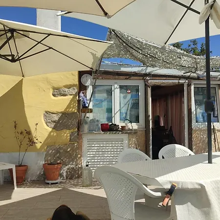 Family 7p 2025 Alcobaça