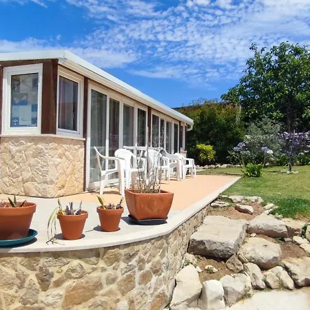 Family 7p 2025 Alcobaça