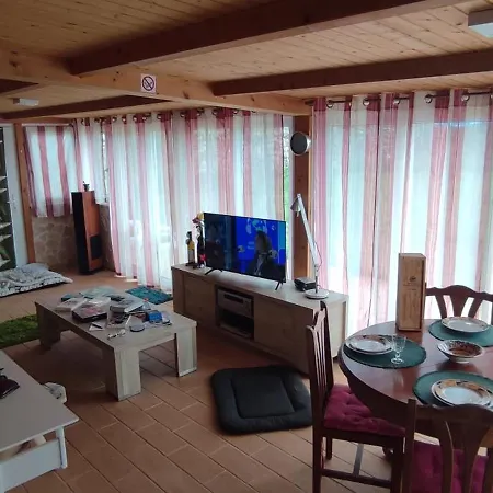 Family 7p 2025 * Alcobaca