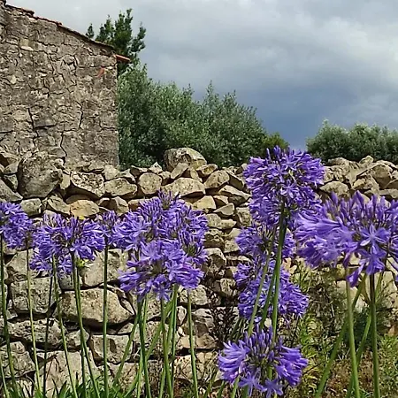 Vakantiehuis Family 7p 2025 *