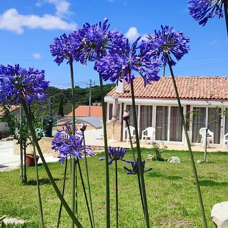 Vakantiehuis Family 7p 2025