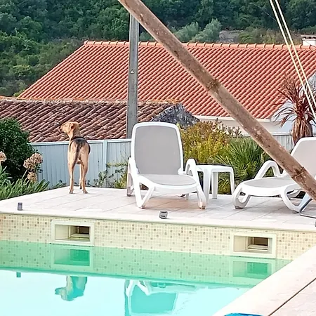 Family 7p 2025 * Alcobaca