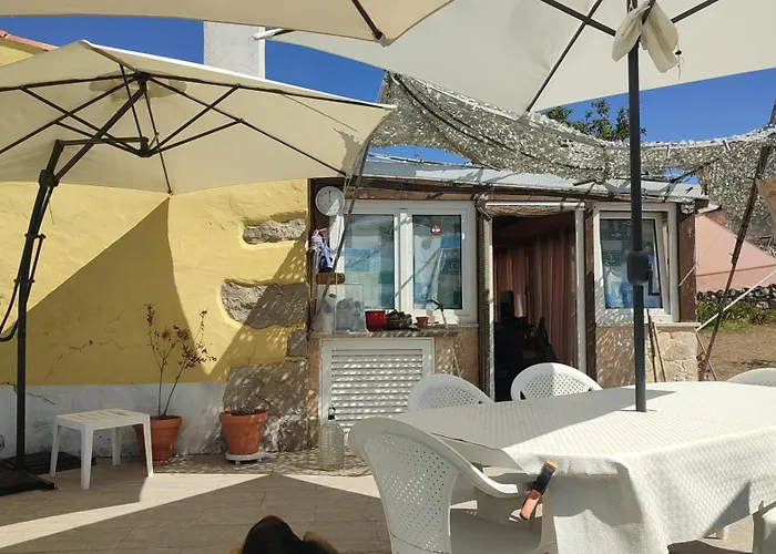 Family 7p 2025 Алкобаса