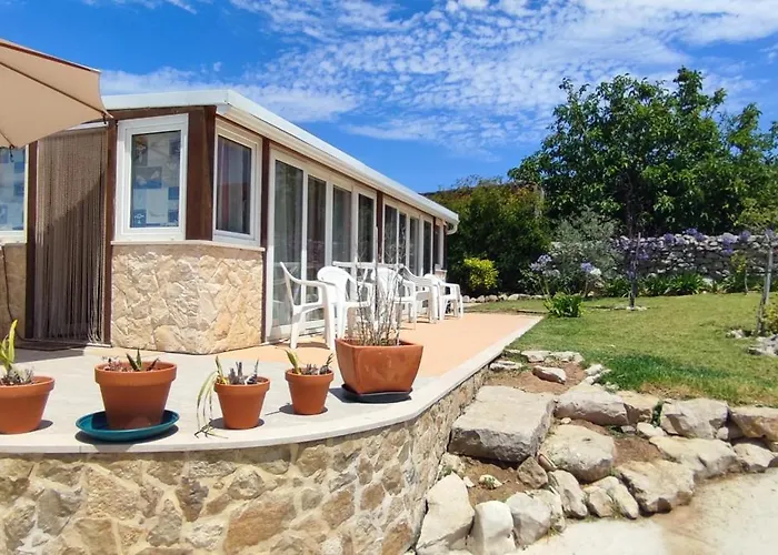 Family 7p 2025 Алкобаса