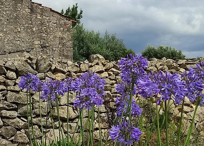 Дом отдыха Family 7p 2025 *