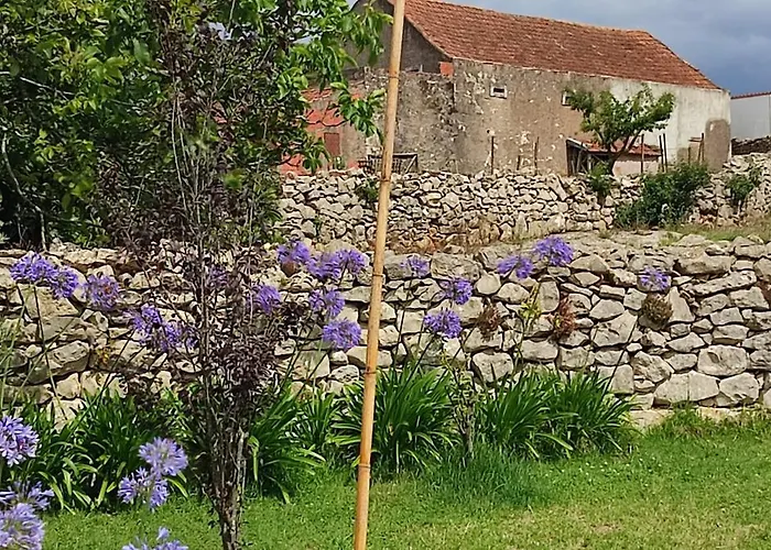 Дом отдыха Family 7p 2025 Алкобаса