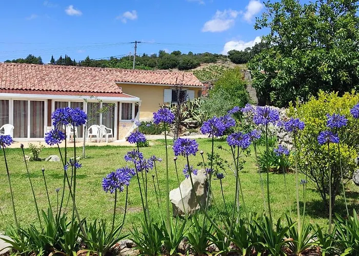 Family 7p 2025 * Алкобаса